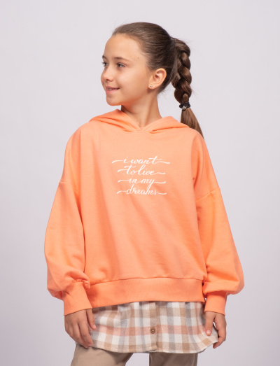 DMB KIDS 9500 Худи (цвет: Оранжевый) DMB KIDS 9500 Худи (цвет: Оранжевый)