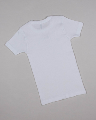 2024_03_11_0086352 2024_03_11_0086352