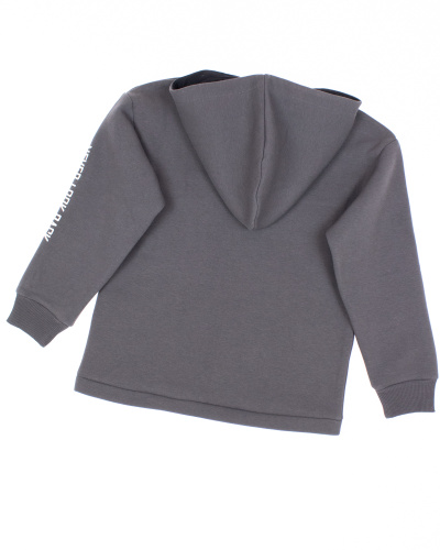 DMB KIDS 4996 Толстовка утепленная DMB KIDS 4996 Толстовка утепленная фото