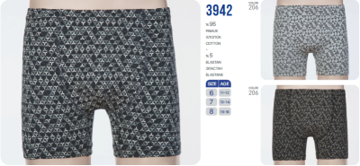 BAYKAR Боксеры 3942 BAYKAR Боксеры 3942 фото